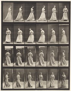 Płyta 100. Schody skręcające i wznoszące się, 1885 autorstwa Eadweard Muybridge