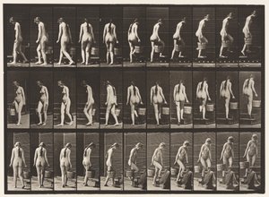 Płyta 102. Schody skręcające i wznoszące, Wiaderko z wodą w Rt Hand, 1872-1885 autorstwa Eadweard Muybridge