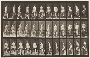 Płyta 104. Schody skręcające i wznoszące się, wiadro wody w każdej ręce, 1872-1885 autorstwa Eadweard Muybridge