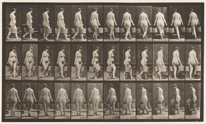 Płyta 106. Zwracając się do schodów wstępujących, wiadro wody w każdej ręce, 1872-1885 autorstwa Eadweard Muybridge