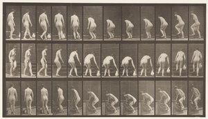 Tabliczka 108. Zwrócenie się w górę schodów, pochylenie się, podniesienie dzbanka, 1872-1885 autorstwa Eadweard Muybridge