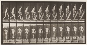 Płyta 109. Drabina wstępująca, 1872-1885 autorstwa Eadweard Muybridge