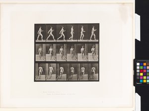 Płyta 10.Chodzenie autorstwa Eadweard Muybridge