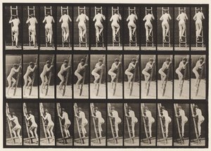 Płyta 112. Drabina wstępująca autorstwa Eadweard Muybridge