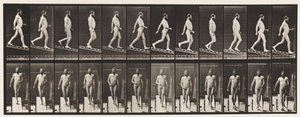Płyta 113. Nachylenie malejąco, 1 na 4, 1872-1885 autorstwa Eadweard Muybridge