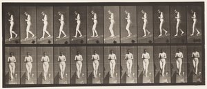 Płyta 115. Opadająca pochylnia z rękami splecionymi z przodu autorstwa Eadweard Muybridge