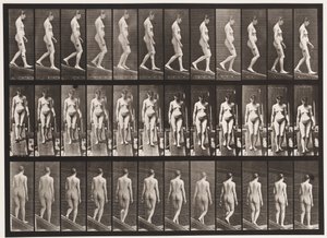 Płyta 117. Opadająca pochylnia, 1872-1885 autorstwa Eadweard Muybridge
