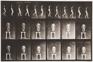 Płyta 118. Opadające nachylenie autorstwa Eadweard Muybridge