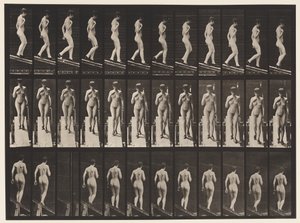 Płyta 119. Opadające nachylenie, prawa ręka na piersi (buty) autorstwa Eadweard Muybridge