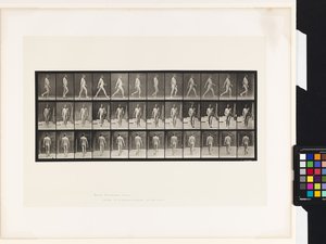 Płyta 11.Chodzenie autorstwa Eadweard Muybridge