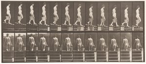 Płyta 120. Opadająca pochylnia, wiadro z wodą w prawej ręce, 1872-1885 autorstwa Eadweard Muybridge
