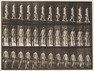 Płyta 122. Opadające pochylenie, wiadro wody w każdej ręce, 1872-1885 autorstwa Eadweard Muybridge