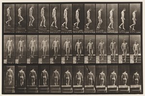 Płyta 125. Schody schodzące autorstwa Eadweard Muybridge