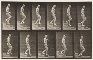 Płyta 126. Schody schodzące autorstwa Eadweard Muybridge