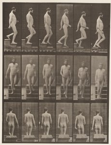Tablica 127. Schody schodzące, 1872-1885 autorstwa Eadweard Muybridge