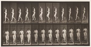 Talerz 128. Schody schodzące, ręce splecione, 1872-1885 autorstwa Eadweard Muybridge
