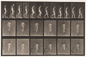 Talerz 130. Schody schodzące, ręce splecione, 1872-1885 autorstwa Eadweard Muybridge