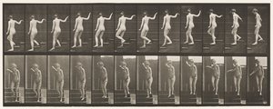Płyta 132. Zstępujące schody, odwracając się, by się rozejrzeć i machając ręką autorstwa Eadweard Muybridge