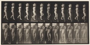 Tablica 136. Schody schodzące Pełny gąsior na ramieniu, 1872-1885 autorstwa Eadweard Muybridge