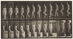 Płyta 137. Zstępujące schody, zawracanie autorstwa Eadweard Muybridge