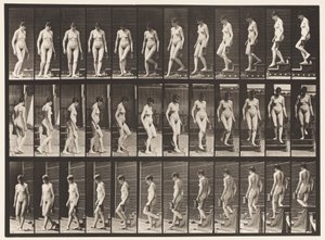 Płyta 138. Obracanie się schodków malejąco; Dzban w lewej ręce autorstwa Eadweard Muybridge