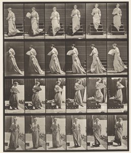Płyta 141. Zstępujące schody i flirtujący wachlarz autorstwa Eadweard Muybridge