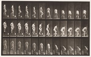 Płyta 149. Schody schodzące; Pochylając się, by podnieść dzban, 1872-1885 autorstwa Eadweard Muybridge