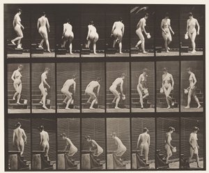 Płyta 150. Schody schodzące; Pochylanie się, podnoszenie dzbanka, obracanie, 1872-1885 autorstwa Eadweard Muybridge