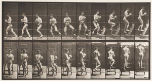 Płyta 151. Drabina schodząca, zawracanie, kamień w dłoniach, 1872-1885 autorstwa Eadweard Muybridge