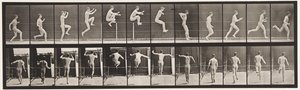 Płyta 154. Skoki; Bieganie prosto, skok wzwyż autorstwa Eadweard Muybridge