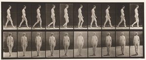 Płyta 15. Chodzenie autorstwa Eadweard Muybridge