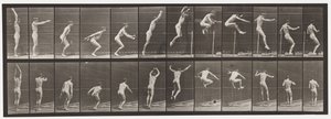 Płyta 161. Skoki; Skok wzwyż z pozycji stojącej autorstwa Eadweard Muybridge