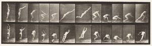 Płyta 162. Skoki; Skok w dal z miejsca autorstwa Eadweard Muybridge