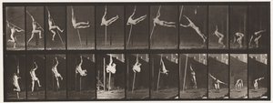 Płyta 164. Skoki; Skok o tyczce, 1872-1885 autorstwa Eadweard Muybridge