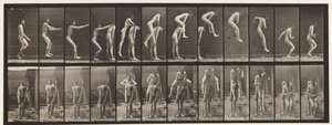 Płyta 166.Skoki; Nad plecami mężczyzny autorstwa Eadweard Muybridge
