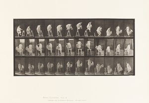 Płyta 172. Nadepnięcie na kozła; Skakanie, skręcanie, 1885 autorstwa Eadweard Muybridge