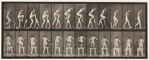 Płyta 178. Wchodzenie i przechodzenie przez kozły autorstwa Eadweard Muybridge