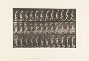 Płyta 179. Wchodzenie i przechodzenie przez skałę, kosz na głowę autorstwa Eadweard Muybridge