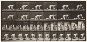 Płyta 182. Czołganie się na rękach i kolanach autorstwa Eadweard Muybridge