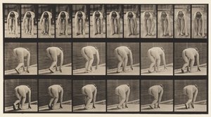 Płyta 184. Chodzenie na rękach i stopach autorstwa Eadweard Muybridge