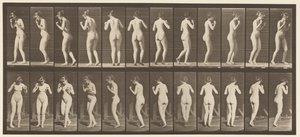 Płyta 195. Walc tańczący autorstwa Eadweard Muybridge