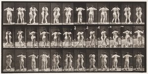 Płyta 196. Walc tańczący, dwa modele autorstwa Eadweard Muybridge
