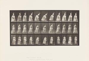 Tabliczka 198. Rozprawa sądowa, 1885 autorstwa Eadweard Muybridge