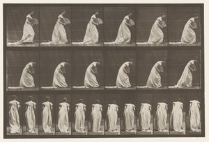 Płyta 199.Courtseying, Wachlarz w Prawej Ręce, 1885 autorstwa Eadweard Muybridge