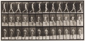 Płyta 1. Chodzenie autorstwa Eadweard Muybridge