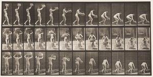 Płyta 201. Zabieranie 12-funtowego kosza z głowy, stawianie go na ziemi, 1872-1885 autorstwa Eadweard Muybridge