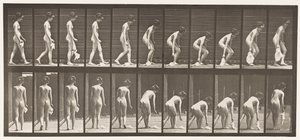 Talerz 202. Upuszczanie i podnoszenie chusteczki autorstwa Eadweard Muybridge