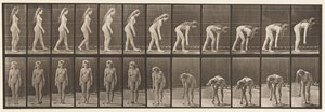 Płyta 204. Zatrzymywanie się, aby podnieść piłkę autorstwa Eadweard Muybridge