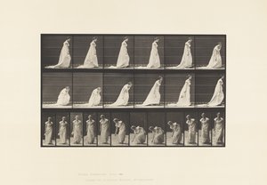 Płyta 209. Pochylenie i podniesienie chusteczki, 1885 autorstwa Eadweard Muybridge