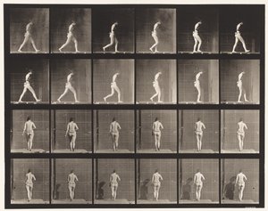 Płyta 20. Chodzenie, zgięty prawy łokieć autorstwa Eadweard Muybridge